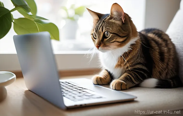 고양이 보험 추천 - **Prompt:** A compassionate image set in a bright, clean, and modern veterinary clinic. A caring vet...